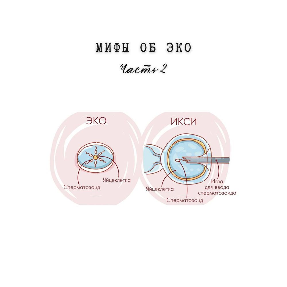 Библиотека: статьи, полезная информация. Стихи, видео и фильмы про ЭКО. — в  сообществе ЭКО-мама — на Babyblog.ru