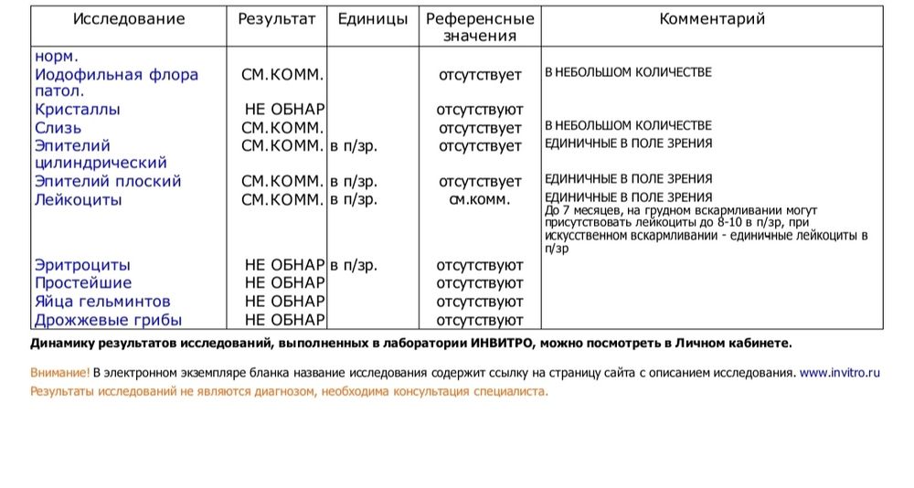 Залетел попугай, что с ним делать? - Стр. 7 - Форумы о попугаях