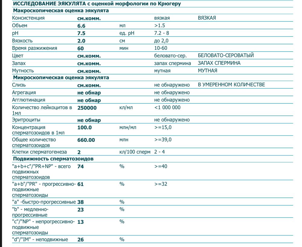 клеточные элементы спермограммы. лейкоциты спермограмма норма. спермограмма отсутствие поступательного движения. спермограмма жизнеспособность. морфология сперматозоидов нормальные формы.