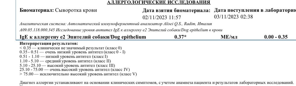 Аллергия на собаку? — 24 ответов | форум Babyblog