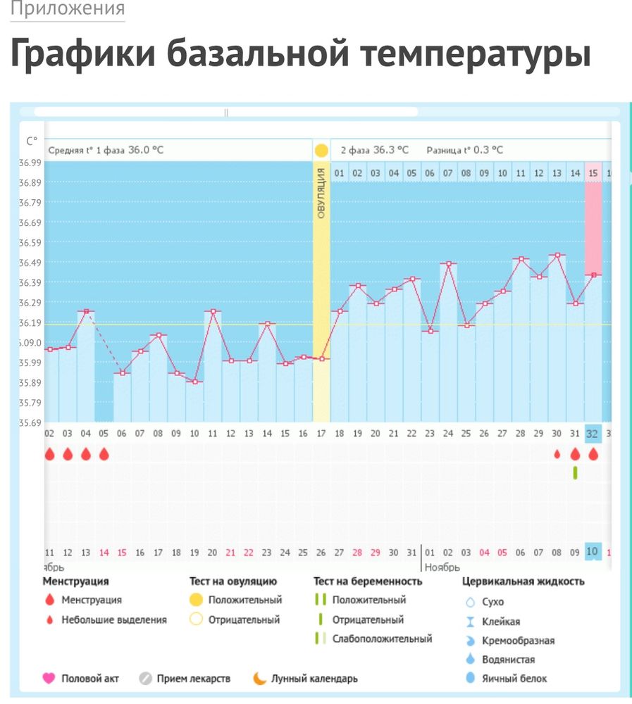 БТ, месячные или бхб — 3 ответов | форум Babyblog