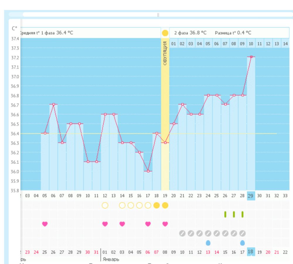 Базальная температура, ТТ, графики БТ — в сообществе Зачатие — на  Babyblog.ru