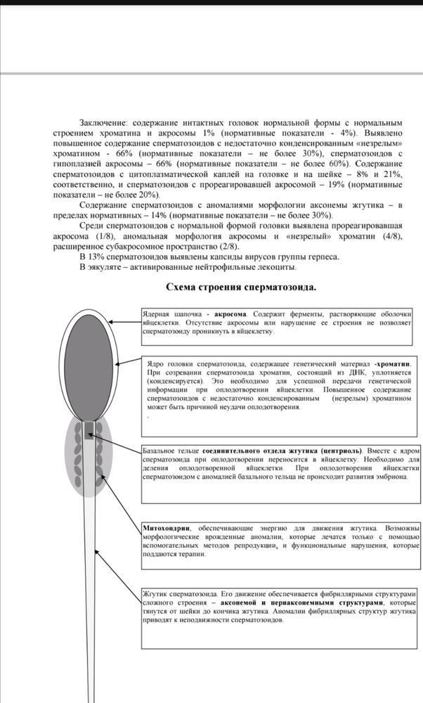 Результаты фрагментации ДНК и ЭМИС — 89 ответов | форум Babyblog