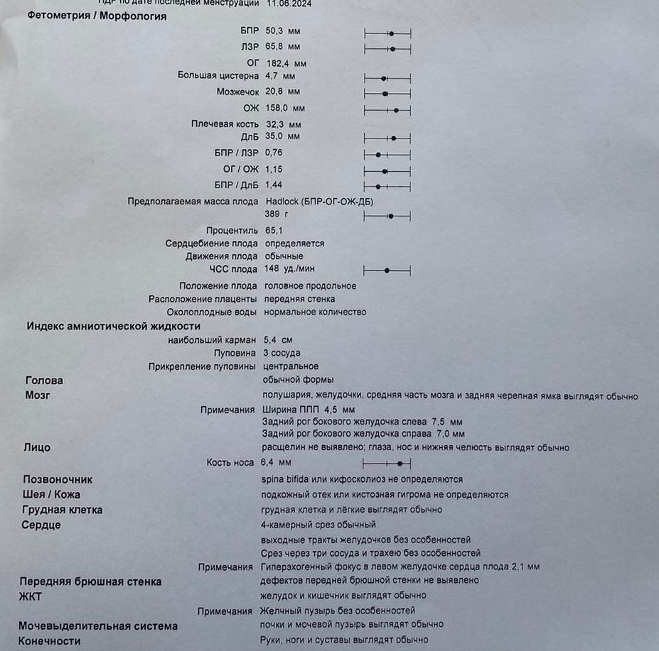 У генетика / Гиперэхогенный кишечник у плода / Перинатальный центр. Анненки.