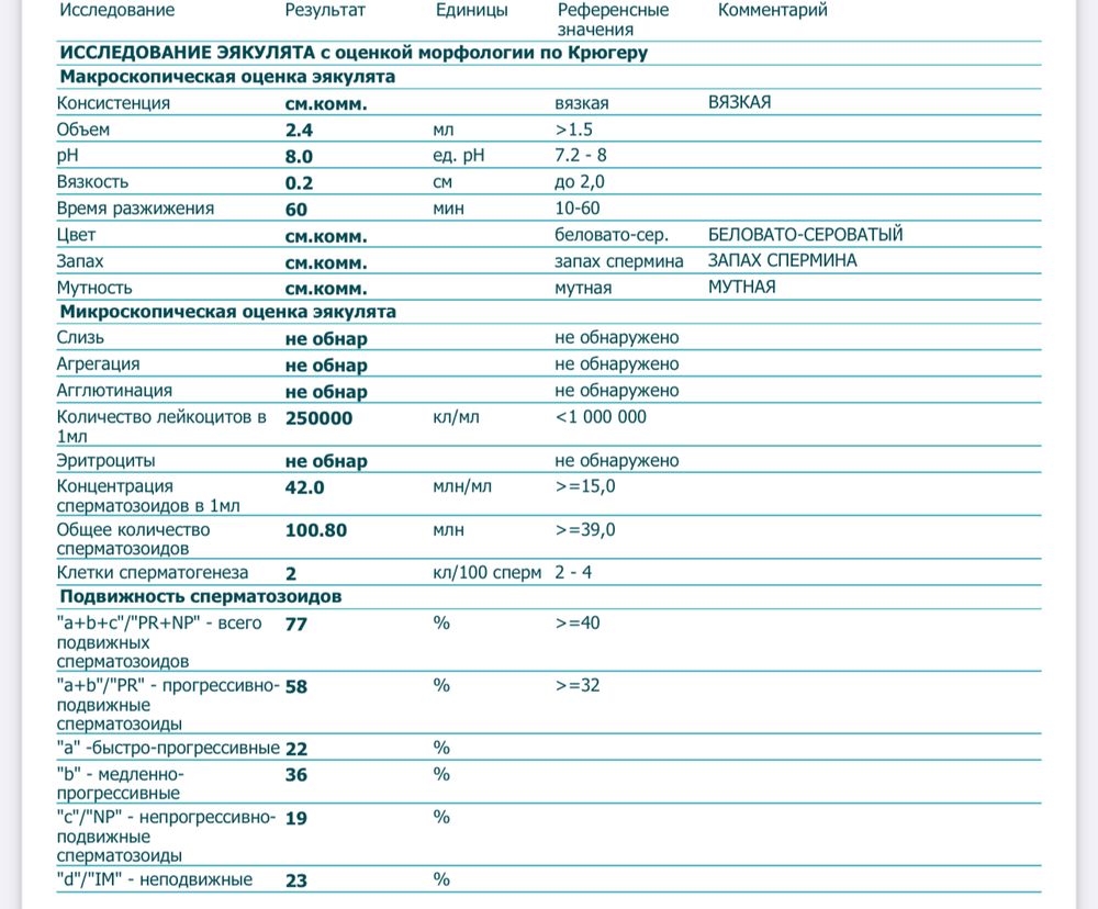 Спермограмма результаты расшифровка