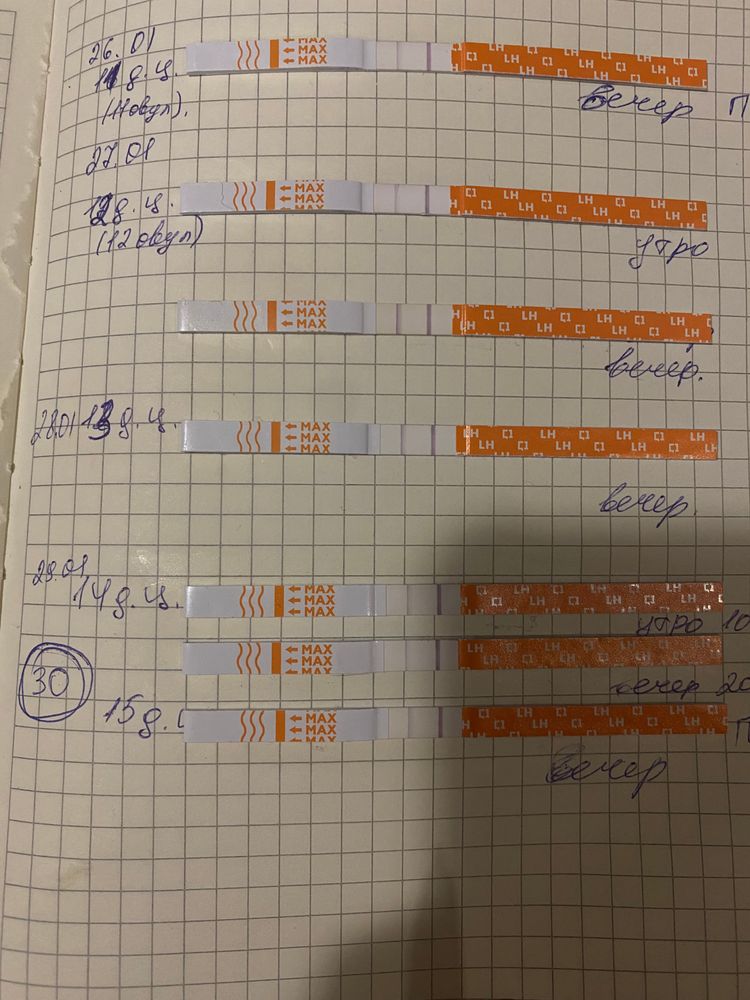 Тест на овуляцию - инструкция, цена, как правильно смотреть результат если слабая полоска