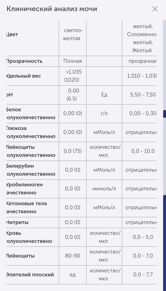 Повышены лейкоциты в моче у ребенка? Узнайте причины и симптомы лейкоцитурии у детей