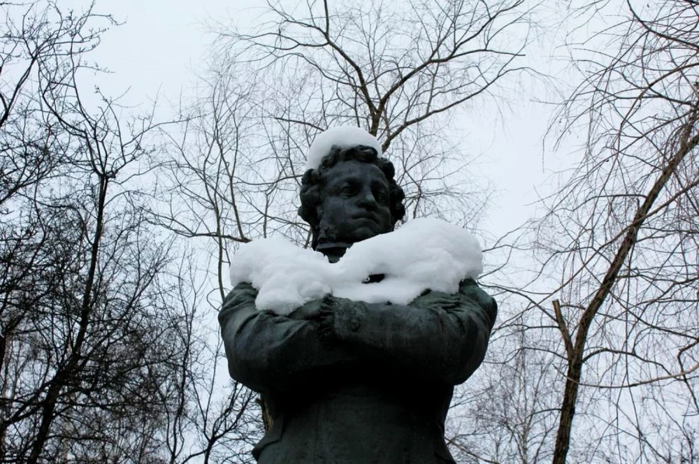 Пушкин под москвой. Памятник Пушкину в Петрозаводске. Заснеженный памятник Пушкина Тверь. Памятник Пушкину зимой. Пушкин зимой.