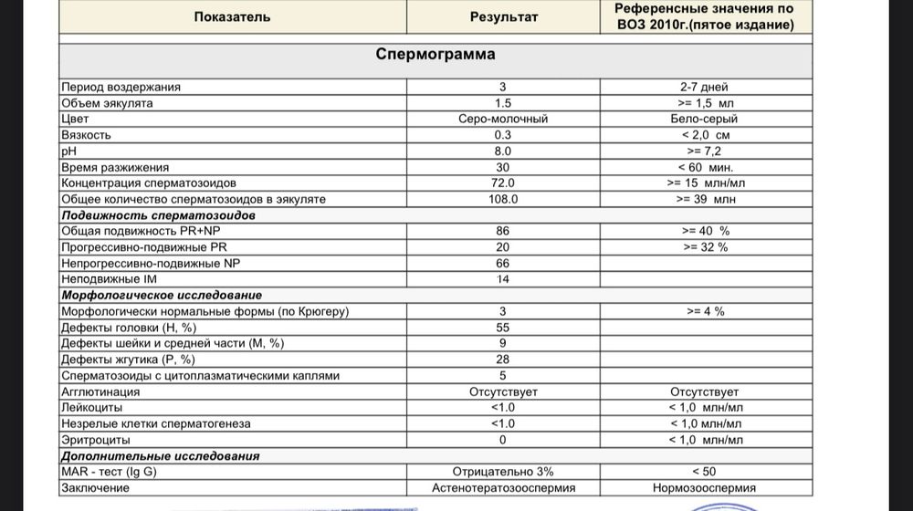 3-ех или 5-ти дневные эмбрионы. В чем разница?