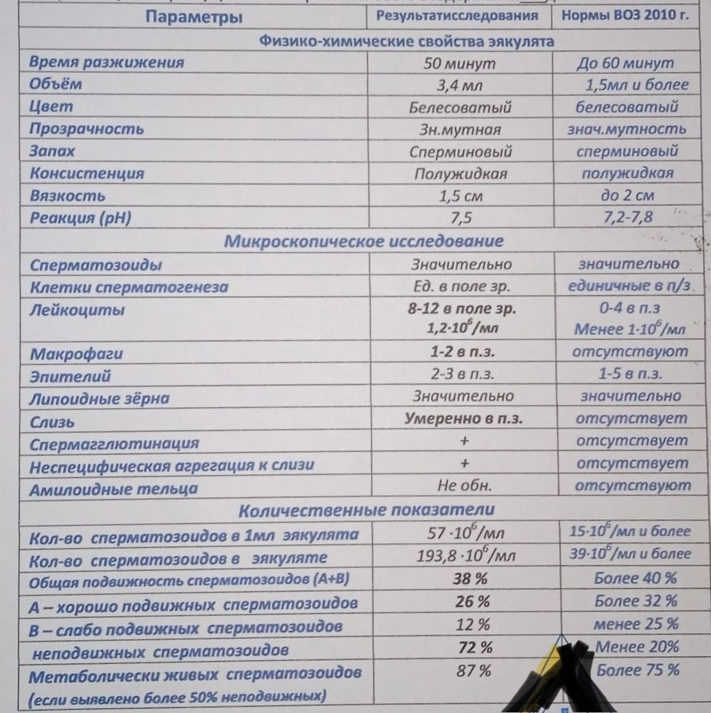 Плохая спермограмма: можно ли улучшить ее показатели?