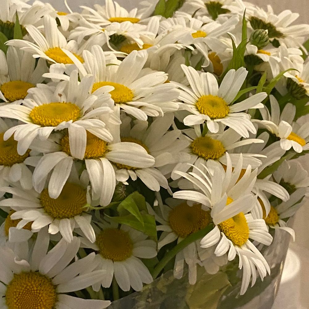 Клиники,врачи,санатории (отзывы и рекомендации) — в