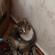 Олька Гудова