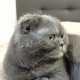 Катя