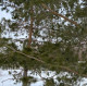 Анастасия М