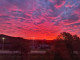 Ona_Kowka