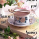 София Чернова