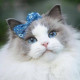 Оксана