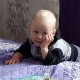 Миссис Норрис