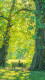 Velessa
