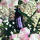 Aroma Nika 