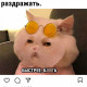 Да пошли вы курицы