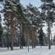 Ольга