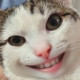 Евгения Корнишина