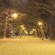 Алена