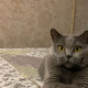 Олька