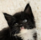 Наташа С.