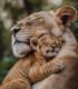 Кошка Юю