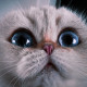 Yulik