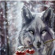 Анастасия Пайвина