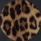 Aa 
