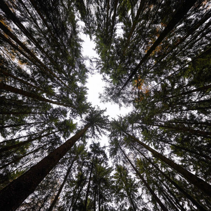 Москва или Подмосковье? Вы откуда? | форум Babyblog