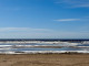 Alki