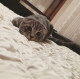 Полина Бакст 
