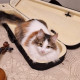 Ксения 