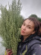 Алена Костина