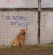 Ольга