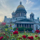 Шмель