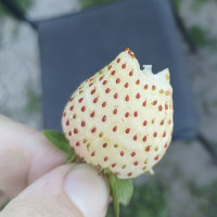 Наталия 