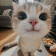 Персик
