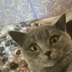 Карина 