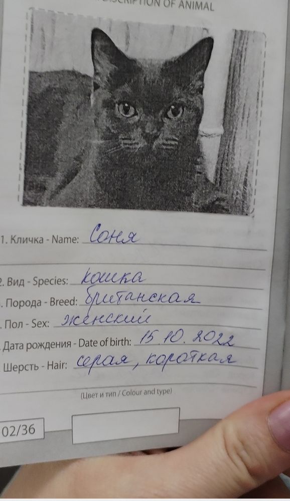 Изображение