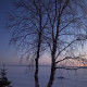 Ольга Алексеевна