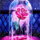 Belle Rose
