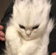 Полина 