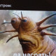 Эля