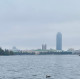 Дарья Медведева